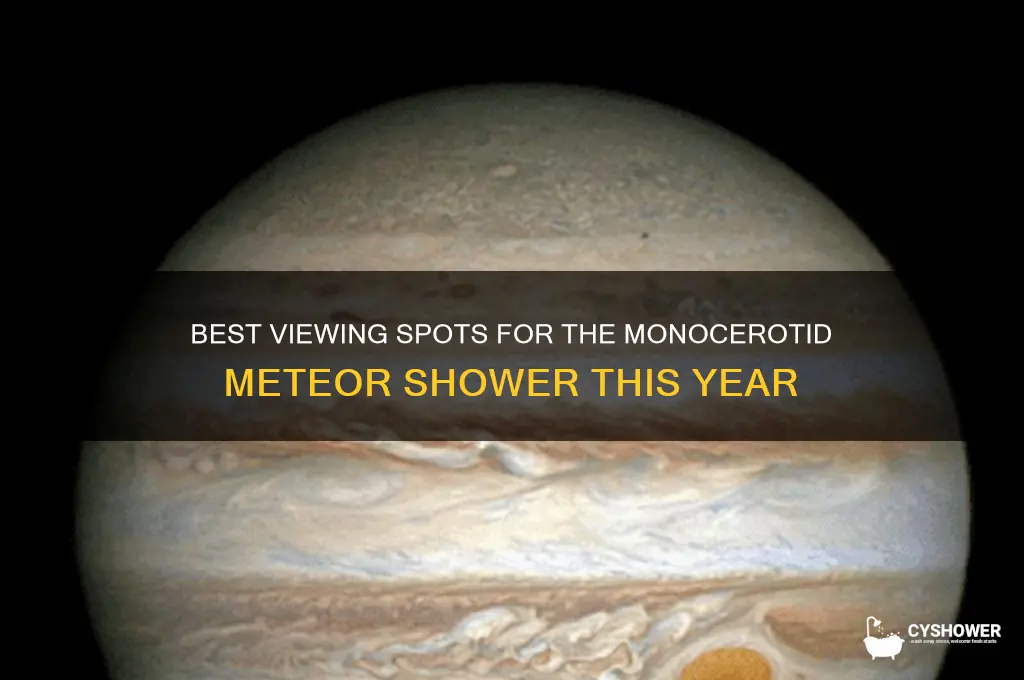 where to look for monocertoid meteor shower