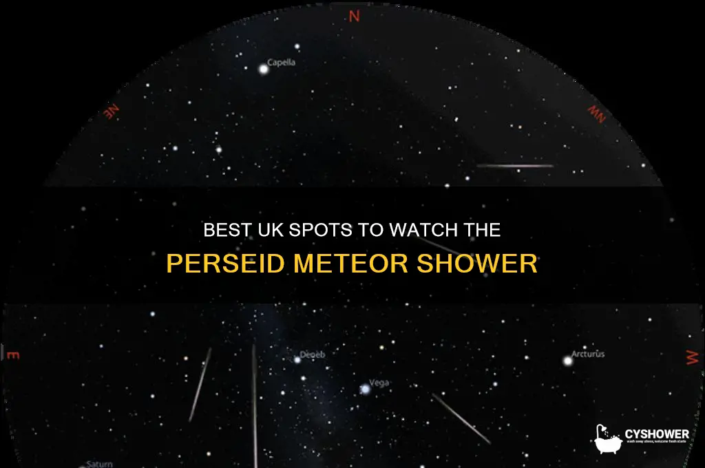 where to look for perseid meteor shower uk