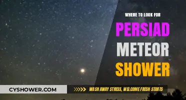 Best Viewing Spots for the Perseid Meteor Shower This Year