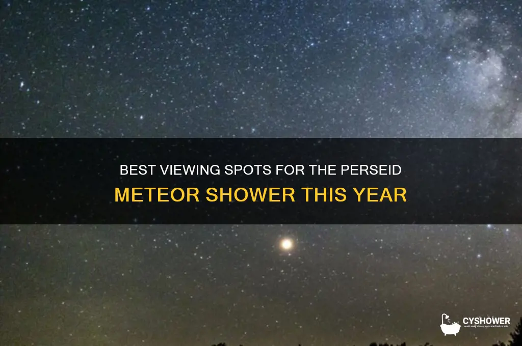 where to look for persiad meteor shower