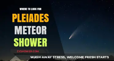 Spotting the Pleiades Meteor Shower: Best Viewing Locations and Tips