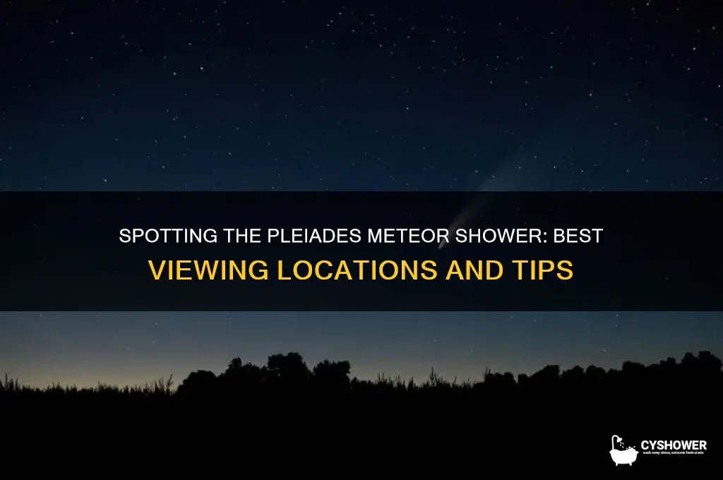 where to look for pleiades meteor shower
