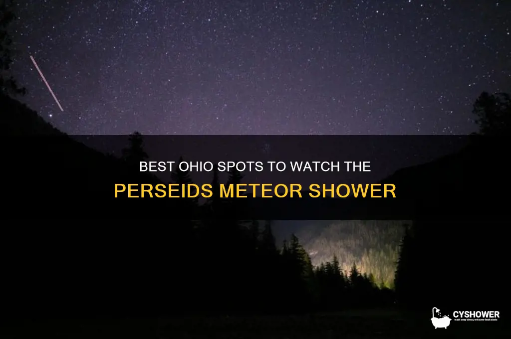 where to look for the perseids meteor shower in ohio