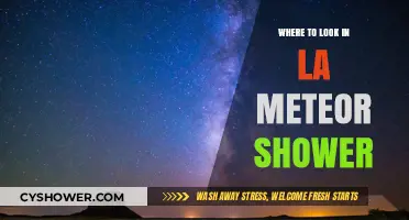 Best Spots in LA to Watch the Meteor Shower Tonight