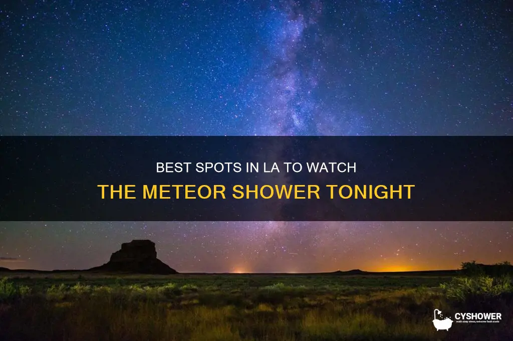 where to look in la meteor shower