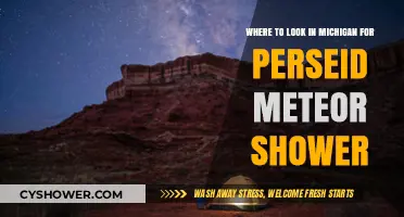 Best Michigan Spots to Watch the Perseid Meteor Shower