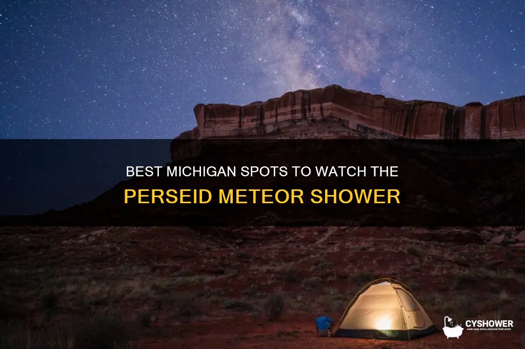 where to look in michigan for perseid meteor shower