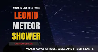 Best Spots in South Carolina to Watch the Leonid Meteor Shower