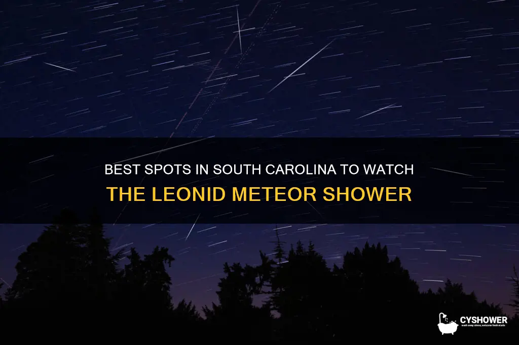 where to look in sc to see leonid meteor shower