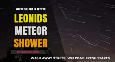 Spotting the Leonids: Skywatching Guide for the Meteor Shower