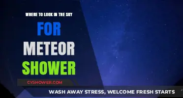 Stargazing Guide: Best Sky Spots for Meteor Shower Viewing