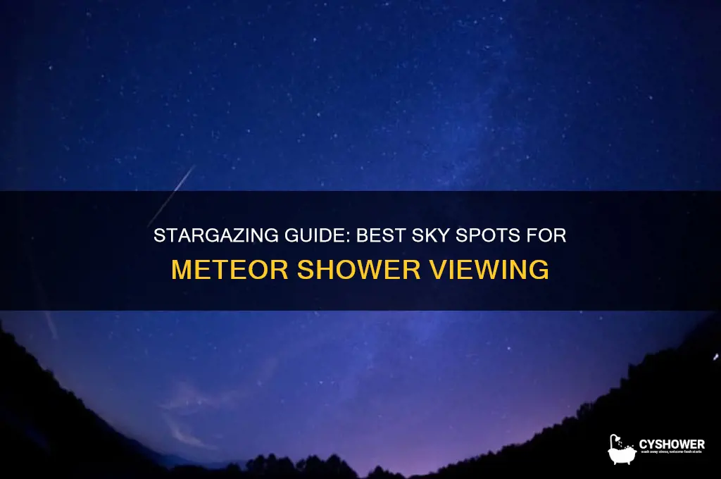 where to look in the sky for meteor shower
