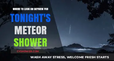 Skyview Meteor Shower Guide: Best Spots to Watch Tonight's Celestial Show