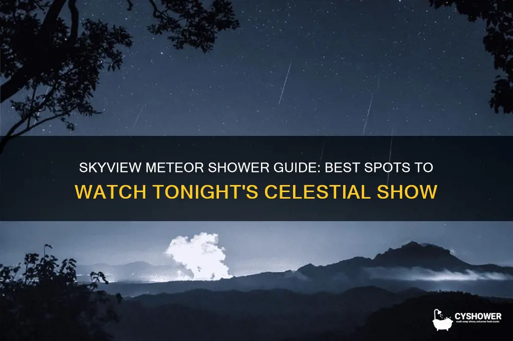 where to look on skyview for tonight