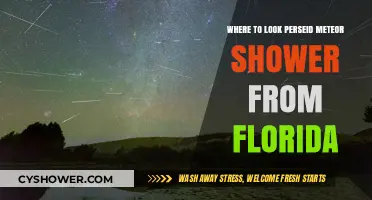 Best Spots in Florida to Watch the Perseid Meteor Shower