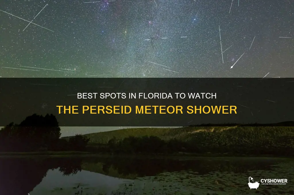 where to look perseid meteor shower from florida