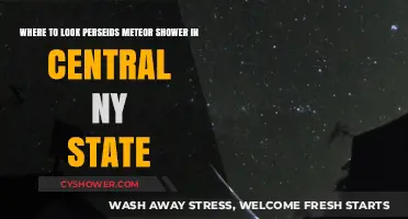 Best Perseids Meteor Shower Viewing Spots in Central NY State