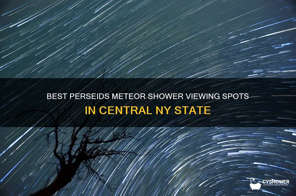 where to look perseids meteor shower in central ny state