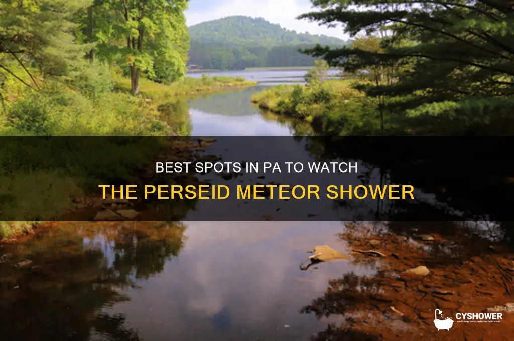 where to look to see perseid meteor shower pa
