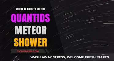 Best Viewing Spots for the Quandrantids Meteor Shower
