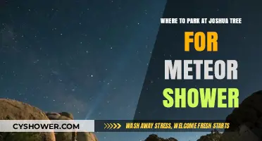 Best Parking Spots at Joshua Tree for Meteor Shower Viewing