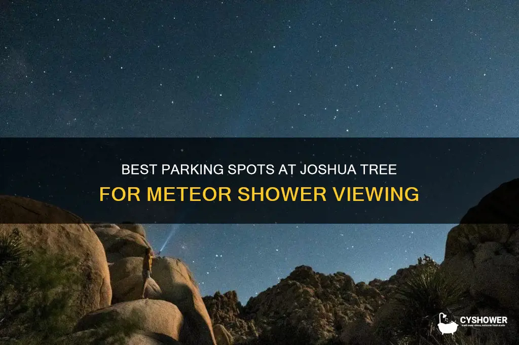 where to park at joshua tree for meteor shower