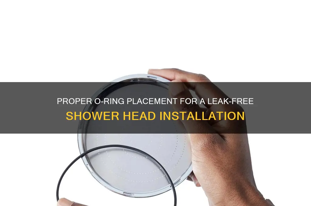 where to place o ring in shower head