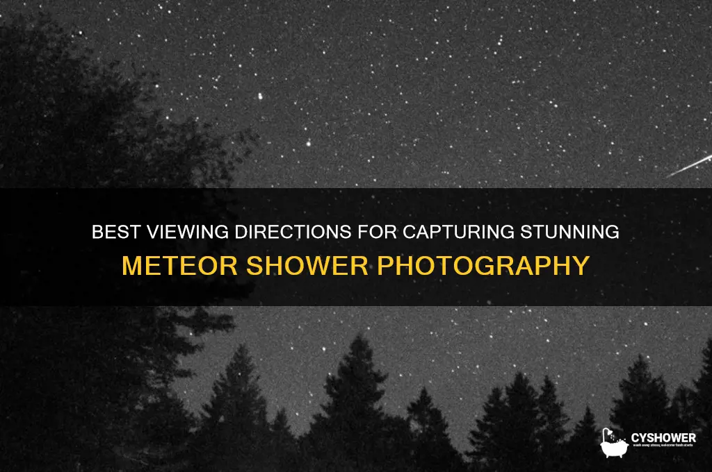 where to point when shooting meteor shower