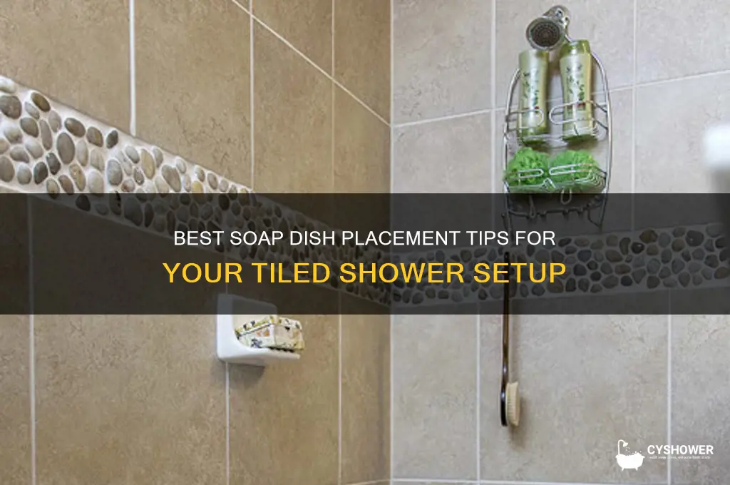 where to put soap dish in tile shower
