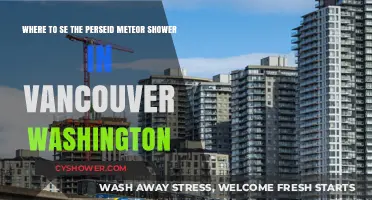 Best Vancouver, WA Spots to Watch the Perseid Meteor Shower