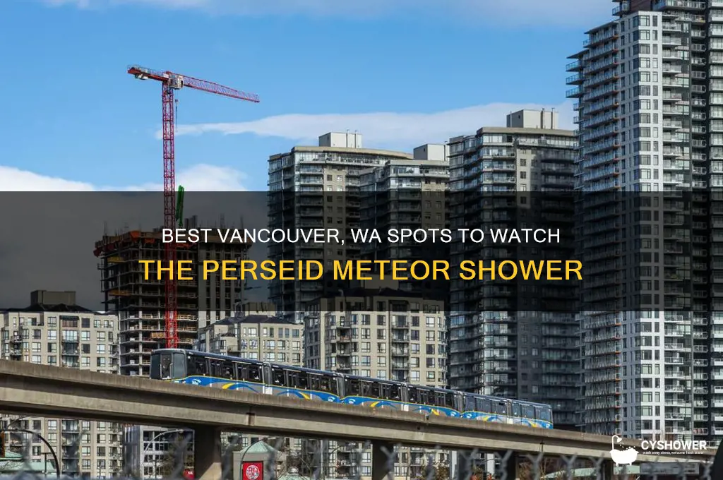 where to se the perseid meteor shower in vancouver washington