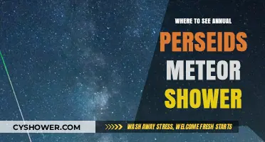 Best Spots to Watch the Annual Perseids Meteor Shower