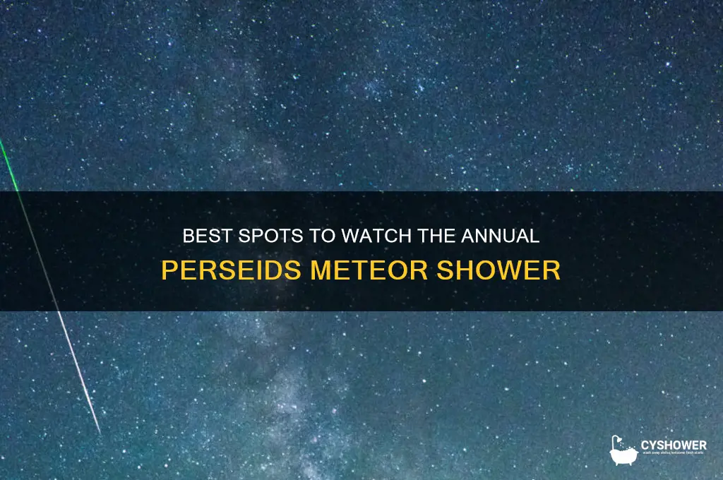 where to see annual perseids meteor shower