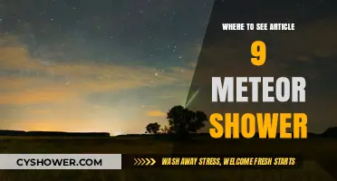 Best Viewing Spots for the Article 9 Meteor Shower