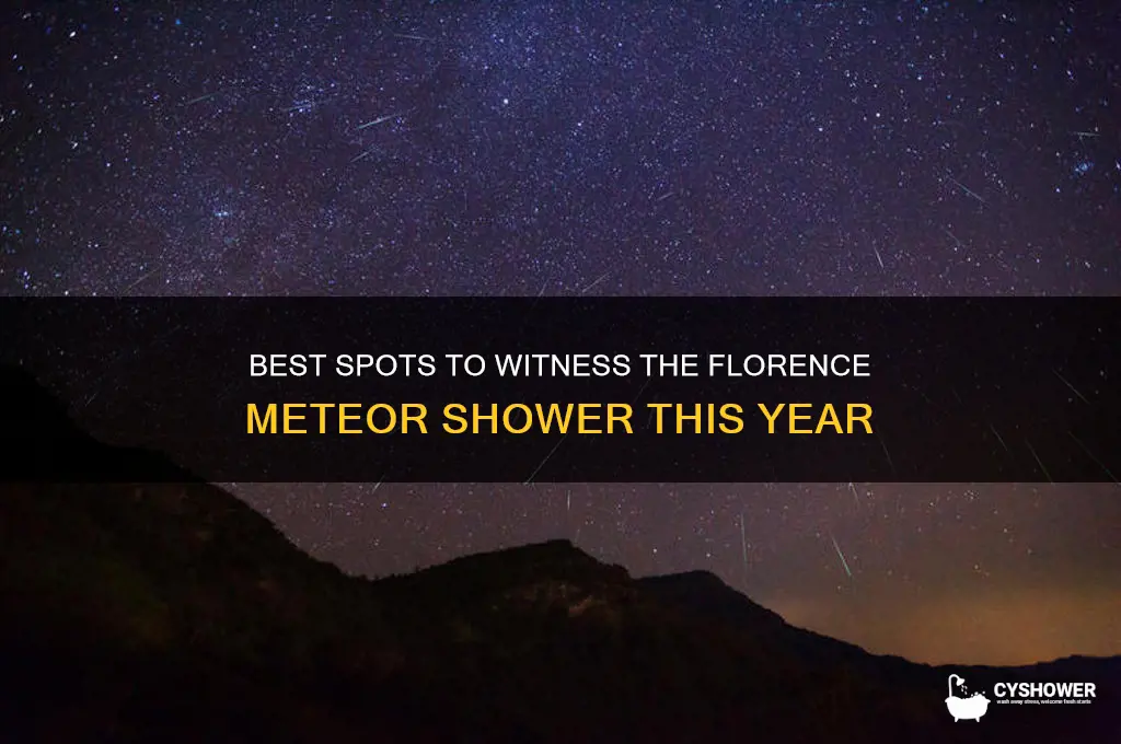 where to see florence meteor shower