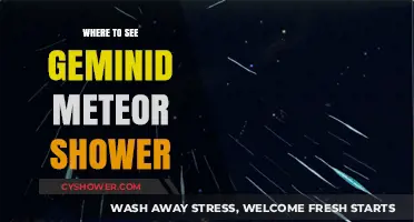 Best Spots to Watch the Geminid Meteor Shower This Year