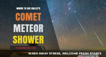 Best Viewing Spots for Halley's Comet Meteor Shower