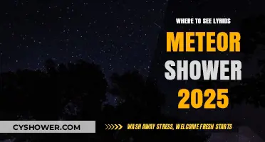 Best Viewing Spots for the 2025 Lyrids Meteor Shower