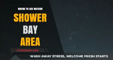 Best Bay Area Spots to Watch Meteor Showers This Year