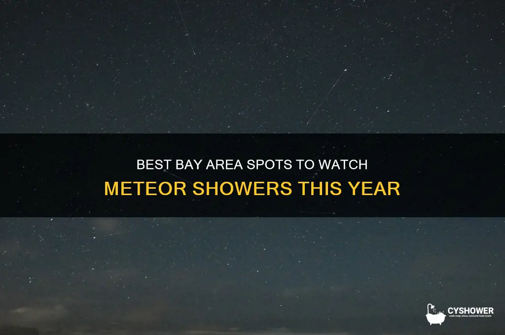 where to see meteor shower bay area