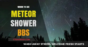 Best Spots to Watch the Meteor Shower BBS: A Guide