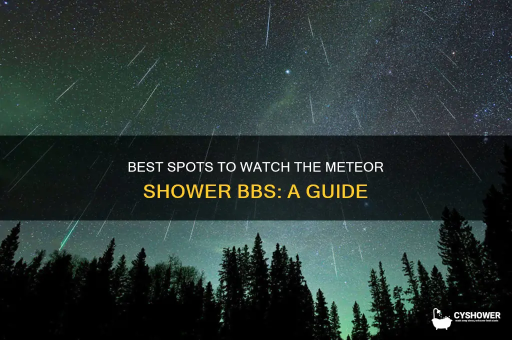 where to see meteor shower bbs