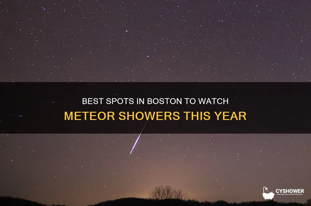 where to see meteor shower in boston