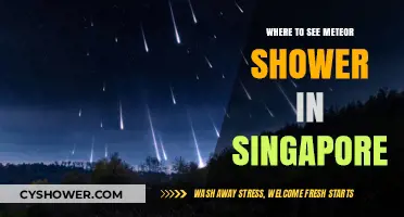 Best Spots in Singapore to Watch Meteor Showers