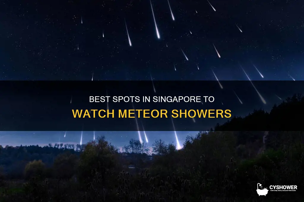 where to see meteor shower in singapore