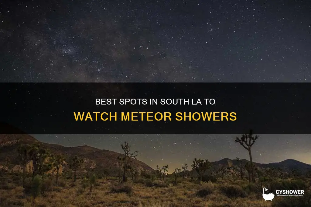 where to see meteor shower in south la