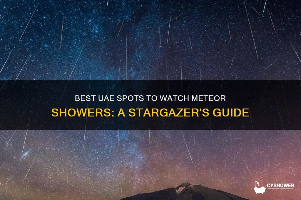 where to see meteor shower in uae