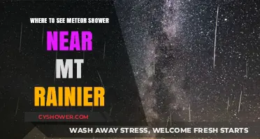 Stargazing Near Mt. Rainier: Best Spots for Meteor Shower Viewing