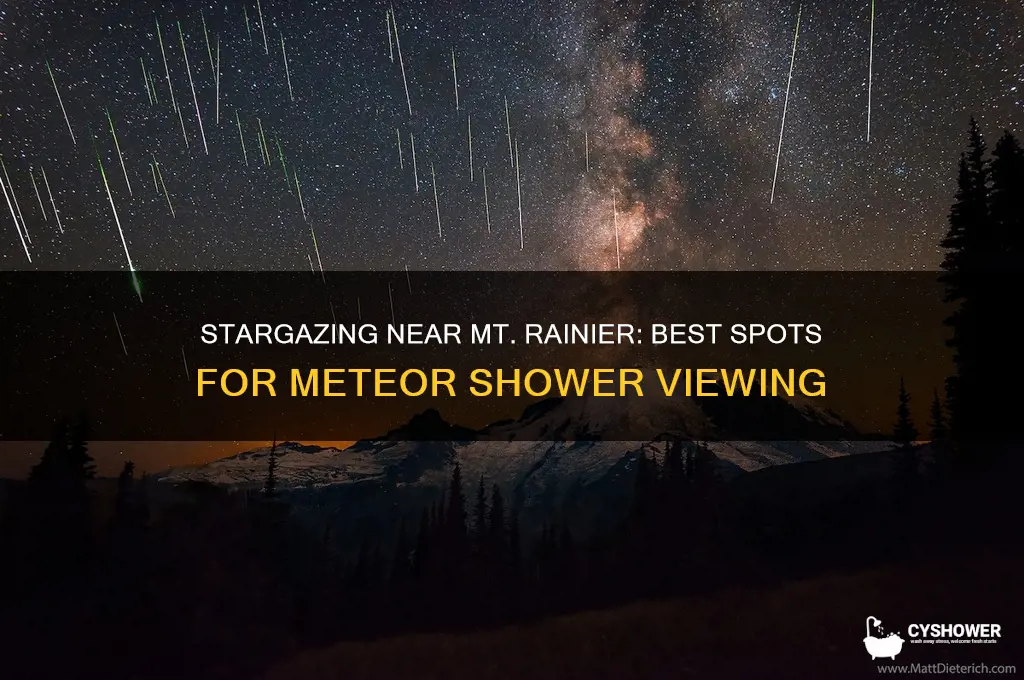 where to see meteor shower near mt rainier