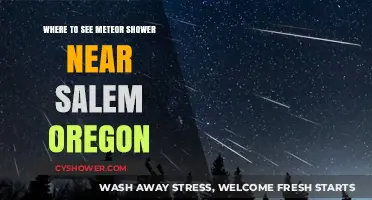 Best Spots Near Salem, Oregon to Watch Meteor Showers